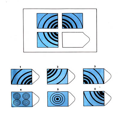 瑞文智力测试AB5