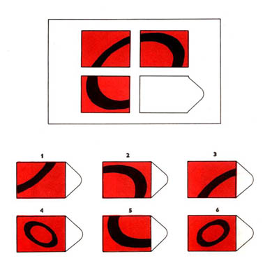 瑞文智力测试AB6