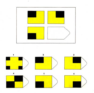 瑞文智力测试AB9