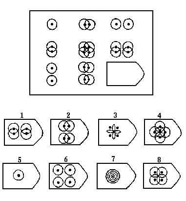 瑞文智力测试C10