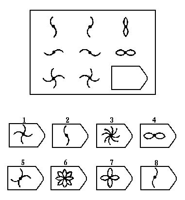 瑞文智力测试E1