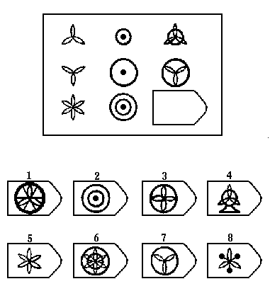 瑞文智力测试E2